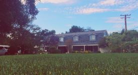 Moreno Estate