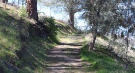 Ridge Route Ranch