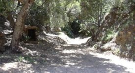 Outlaw Canyon Ranch