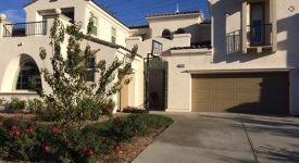 Sosa House