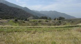 East Walker Ranch