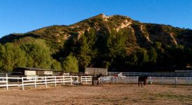 Red Rock Riding Ranch