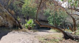 Sweetwater Movieland Ranch