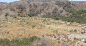 Fidelibus Home 24 Acre Ranch Home