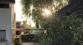Suburban Surprise