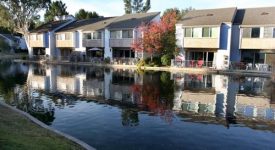 Lakeshore Property – Valencia Lakeshore HOA