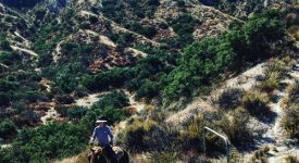 Bonner Ranch