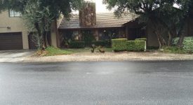Happy Valley – Newhall – Ranch Style Home