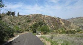 East Walker Ranch