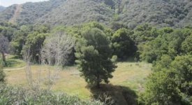 East Walker Ranch