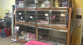 Happy Pets Veterinary Center