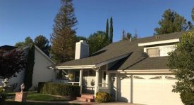 Suburban Surprise