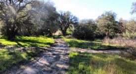 Acres in Sand Canyon