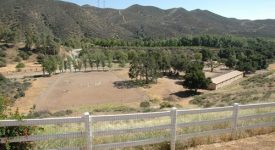 Purfoy Ranch