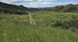 Baker Canyon Ranch