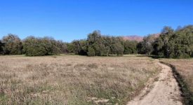 Acres in Sand Canyon