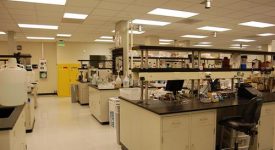 SCVL – MNKD Labs