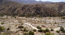 Polsa Rosa Movie Studio Ranch