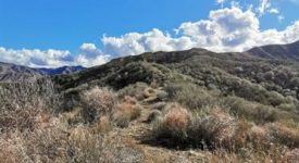 Open Sand Canyon Land