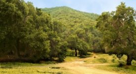 East Walker Ranch
