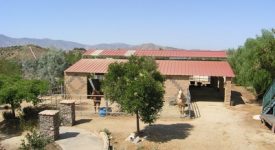 Acton Home w/ view of mountains