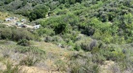 Open Sand Canyon Land