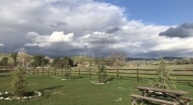 Mountain View Property