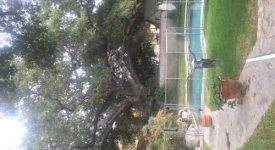 Seven Oaks Ranch