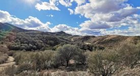 Open Sand Canyon Land