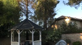 Suburban Surprise