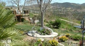 Costanza Home
