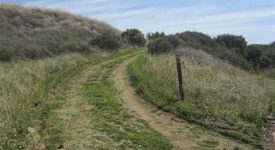 East Walker Ranch