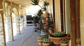 Rancho de Pancho