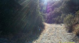 Lupita’s Ranch