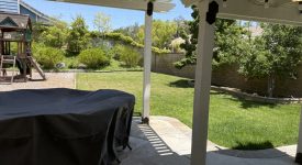 Back yard