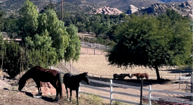 Rancho Valencia