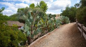 William S. Hart Park