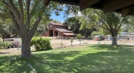 Potts Family Farm